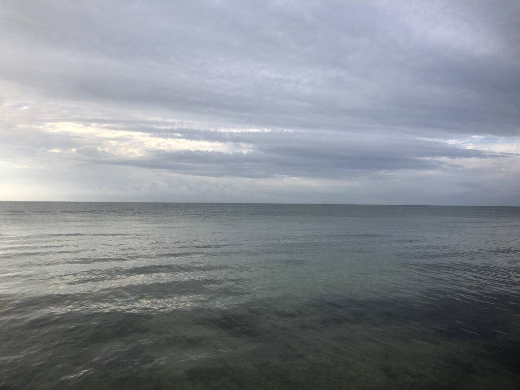 Photo by Erika Heffernan Day 304 8:27 AM at Smather’s Beach Boardwalk Key West. Horizontal, Gray sky over green gray ocean