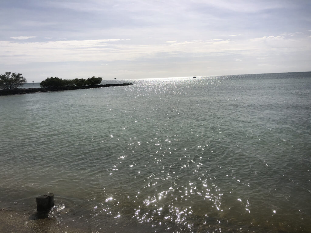 Photo by Erika Heffernan Day 308 at Smather’s Beach Boardwalk Key West. Horizontal, Sparkling blue green ocean with a breakwater with trees on the left