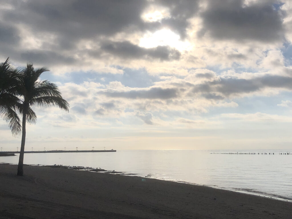 Photo by Erika Heffernan Day 315 831 AM at Smather’s Beach Boardwalk Key West. Horizontal, Sunrise over the ocean with a shadow beach and palm tree in the foreground, a pier in the distance