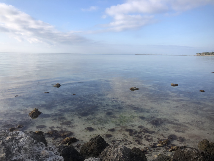Photo by Erika Heffernan Day 315 at Smather’s Beach Boardwalk Key West. Horizontal, baby blue sky over Clam ocean horizon with clear water where you can see the bottom revealing all the rocks, shells and seaweed below in forced perspective.