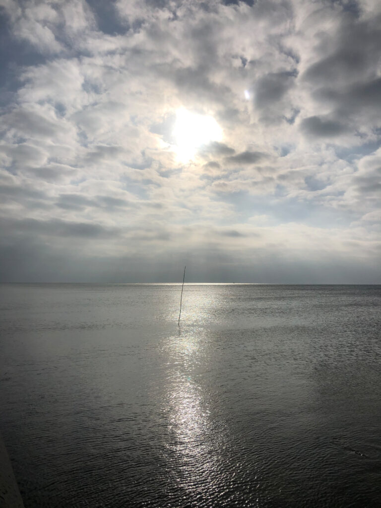 Photo by Erika Heffernan Day 320 at Smather’s Beach Boardwalk Key West. Vertical, Clouded Sky with grey ocean a long black stick standing tall out of the ocean in the middle of the image.