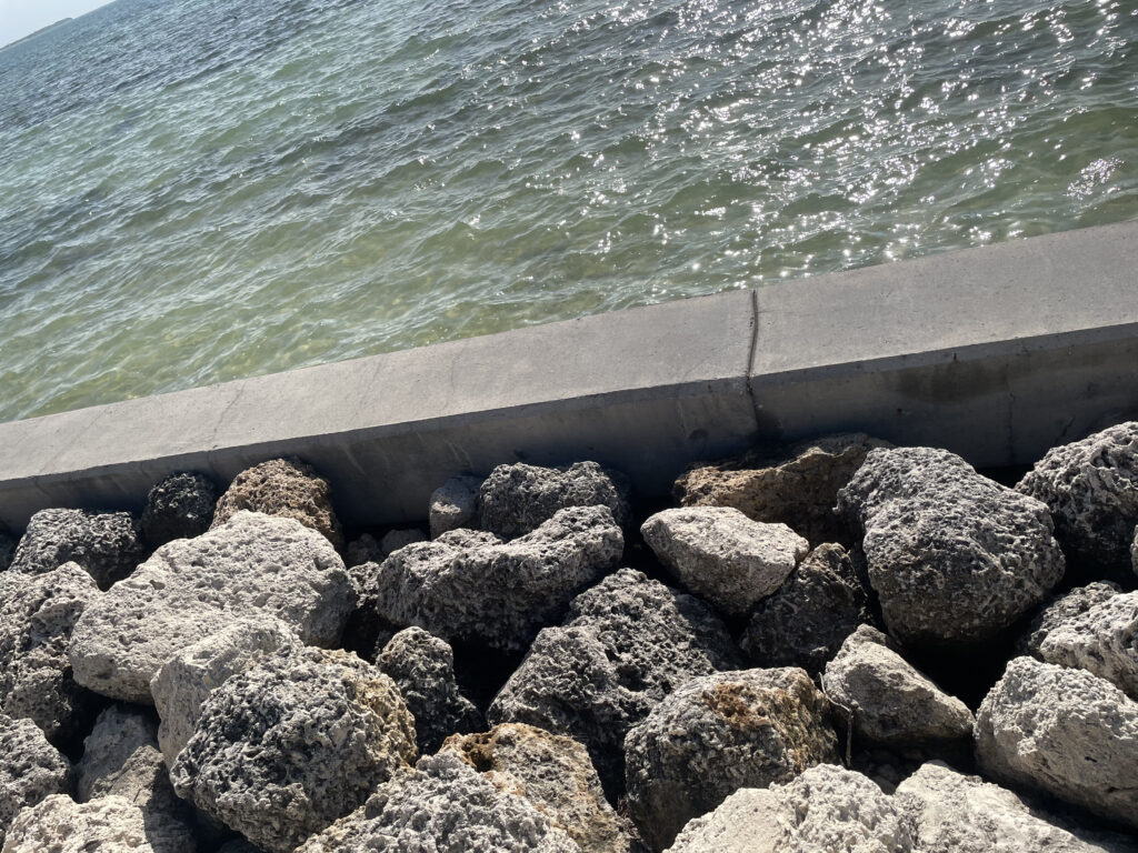 Photo by Erika Heffernan Day 335 at Smather’s Beach Boardwalk Key West. Horizontal, white coral rocks on the cement walkway with green ocean behind it. 